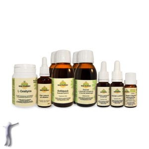 Oczyszczanie jelit - Zestaw nr 2 rozszerzony (goździk, piołun, orzech, antiquus, oregano, ornityna, płyn ziołowy)