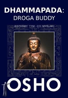 dhammapada_droga_buddy.jpg