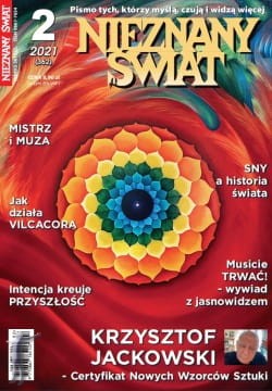 ns_2_21.jpg