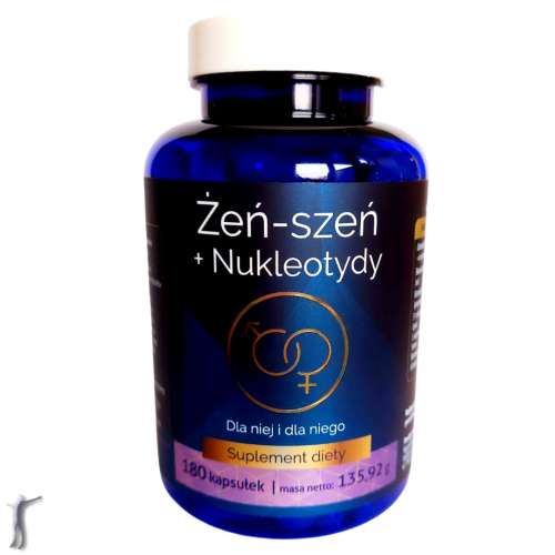 zenszen_nukleotydy.png