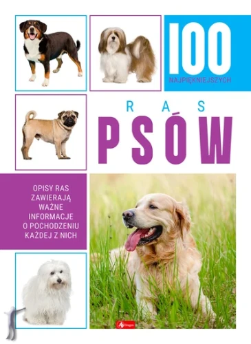 100_najpiekniejszych.webp