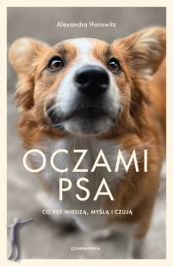 Oczami psa Co psy widzą, czują i wiedzą