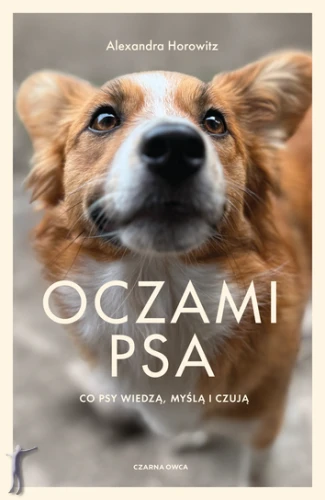 oczami_psa.webp