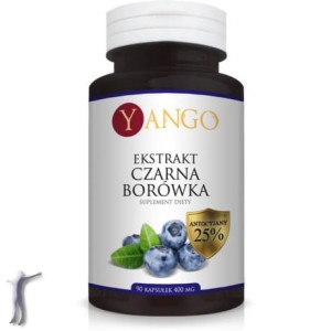 Czarna Borówka - Ekstrakt - 90 kapsułek