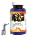 OPC Synergia 120 kapsułek (79g)
