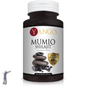 Mumio - 40% kwasów fulwowych - 90 kapsułek