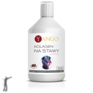 Kolagen na stawy - 500 ml